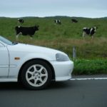 運転上達のコツ(初級編)【ペーパードライバー、初心者でもOK】